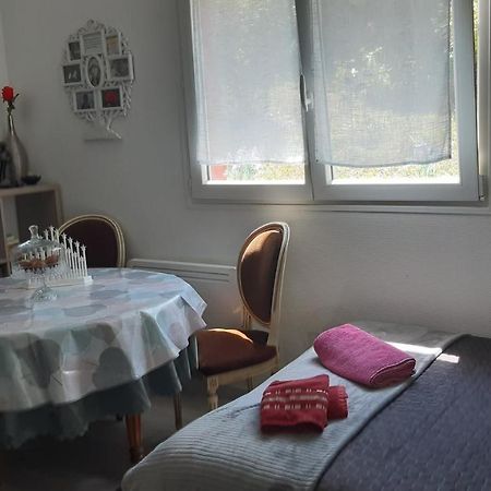 Ravissant Studio Dans Un Cadre Agreable Soultz-Haut-Rhin Exterior photo