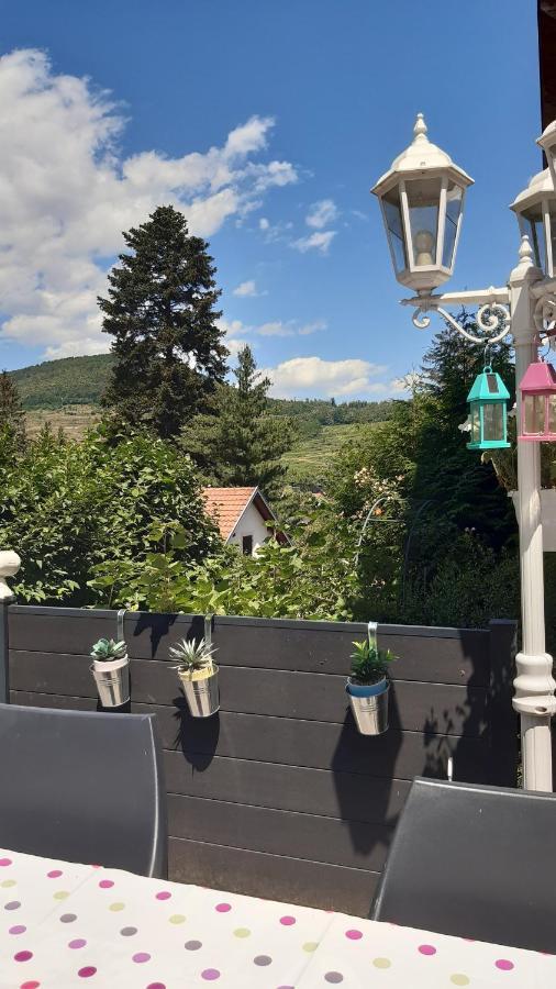Ravissant Studio Dans Un Cadre Agreable Soultz-Haut-Rhin Exterior photo