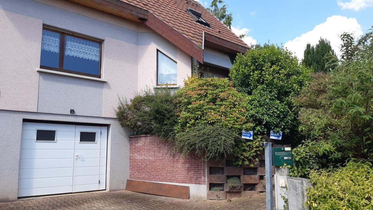 Ravissant Studio Dans Un Cadre Agreable Soultz-Haut-Rhin Exterior photo