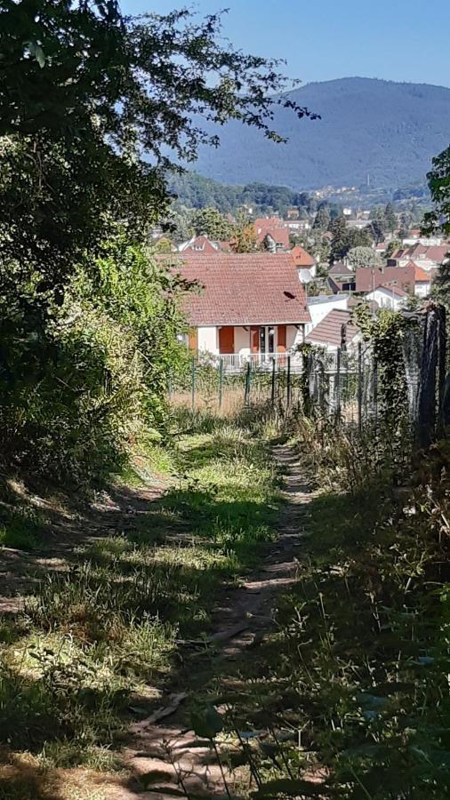 Ravissant Studio Dans Un Cadre Agreable Soultz-Haut-Rhin Exterior photo